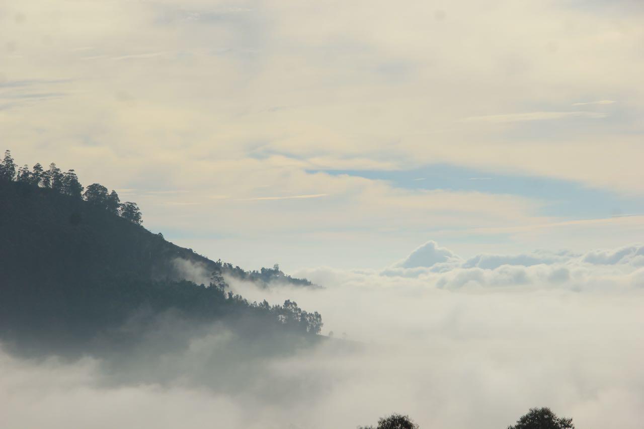 Hide Away Cottages Ooty Dış mekan fotoğraf
